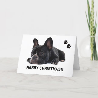French Bulldog christmas card