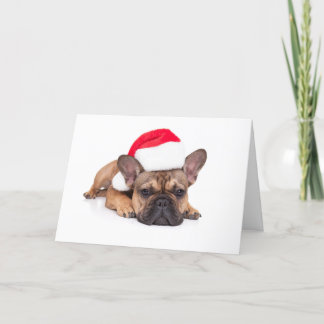 French Bulldog - Christmas Holiday Card