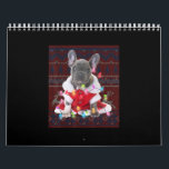 French Bulldog Christmas Lights Ugly Sweater Dog Calendar<br><div class="desc">French Bulldog Christmas Lights Ugly Sweater Dog A Bulldog makes it better. Cute bulldog gifts for Bulldog lovers and Bulldog dog owners who got a new Bulldog puppy dog. Bulldog mom, Bulldog dad. Bulldog gifts for men, boys and girls. Bulldog stuff for kids, youth, girls and boys. Makes an ideal...</div>