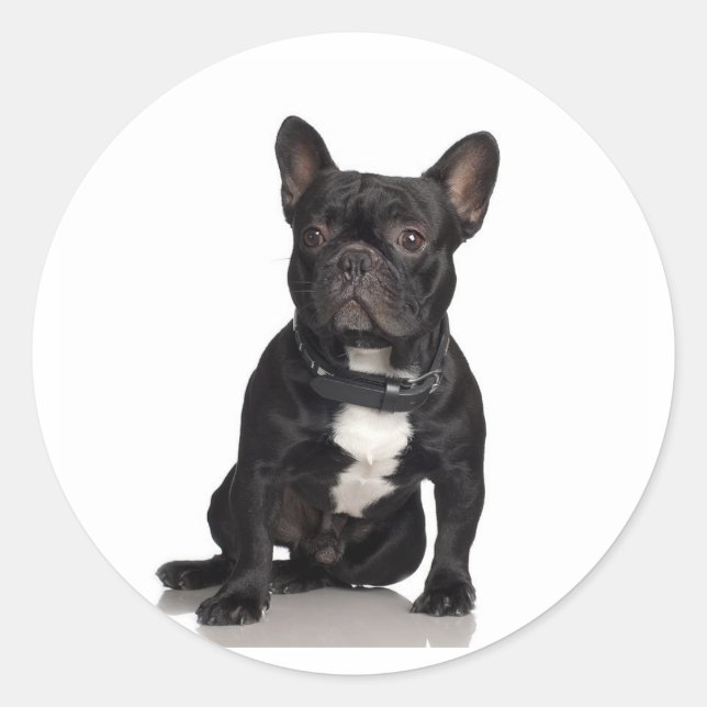 French Bulldog Classic Round Sticker (Front)