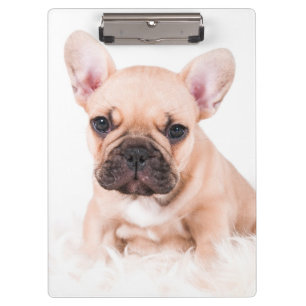 French Bulldog Clipboard