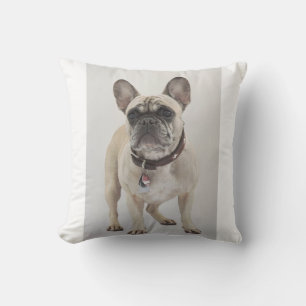 french-bulldog-cream full throw pillow