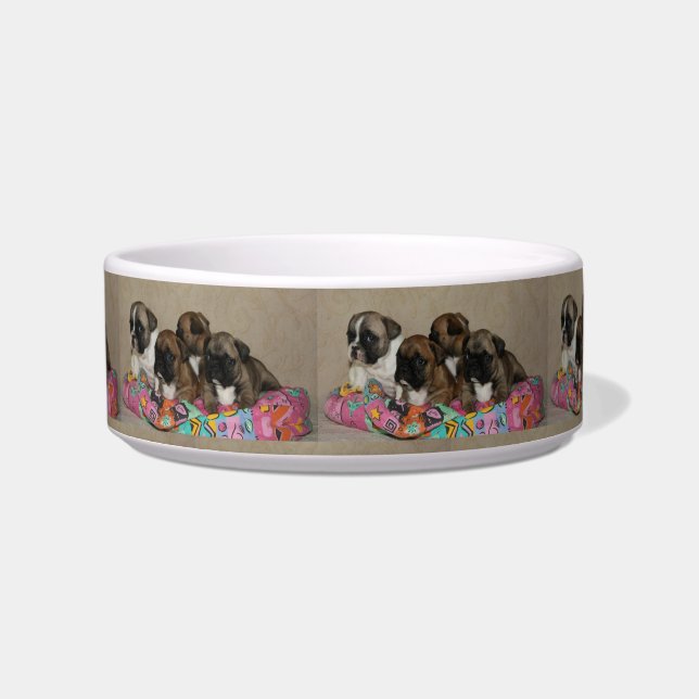 French Bulldog Cushion French Bulldog Bowl (Front)