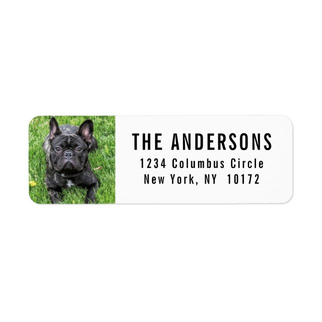 French Bulldog Custom Return Address (Front)