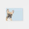 French Bulldog | Cute Frenchie