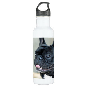 French Bulldog dog 710 Ml Water Bottle