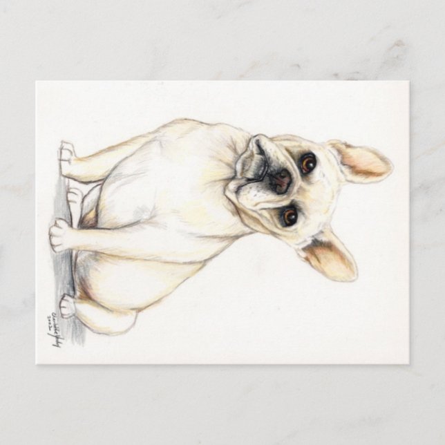 French Bulldog Dog Art Postcard (Front)