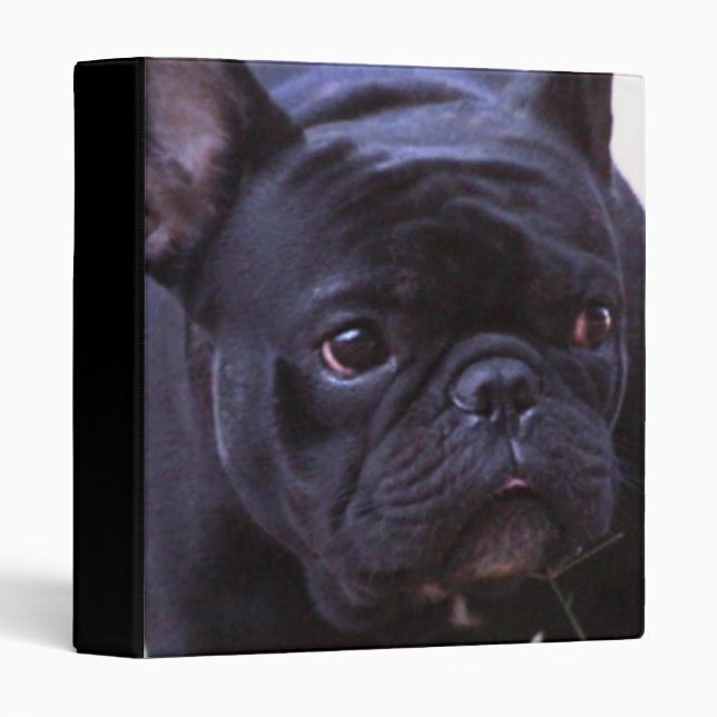 French Bulldog dog Binder (Front/Spine)