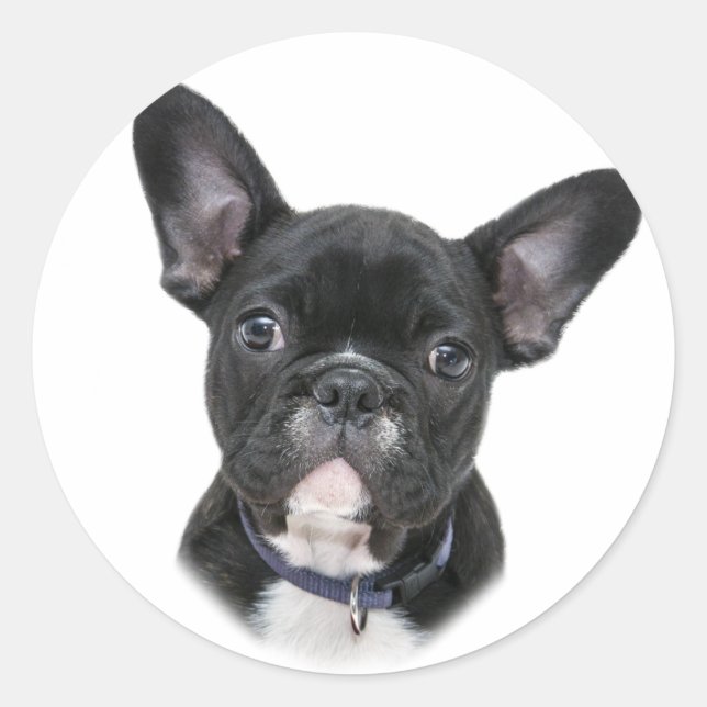 French Bulldog Dog Breed Classic Round Sticker (Front)
