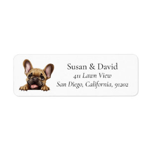 French Bulldog Dog Breed Pet Lovers