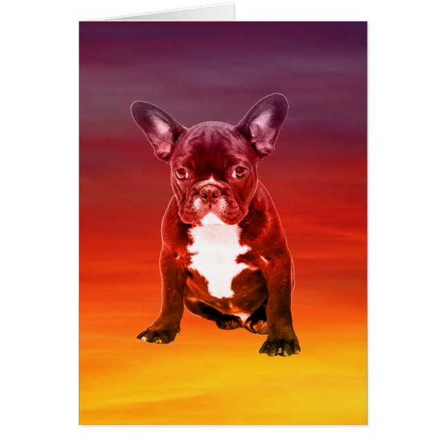 French Bulldog Dog Sitting On Beach (Front)