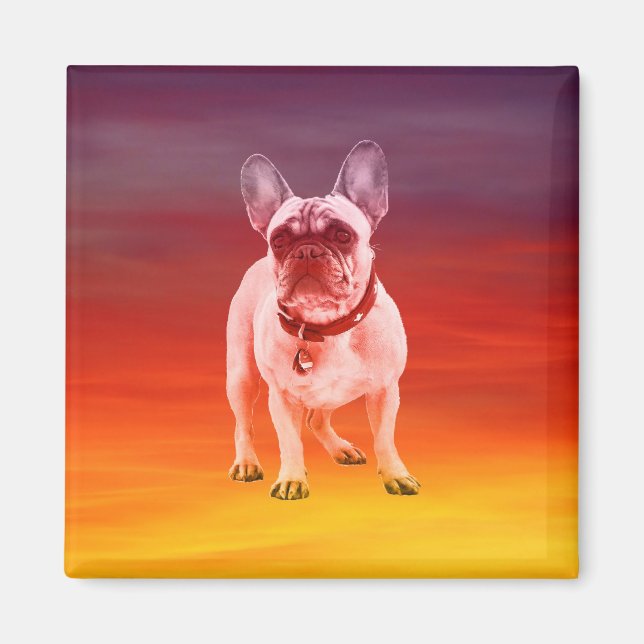French Bulldog Dog Sitting On Beach Magnet (Front)