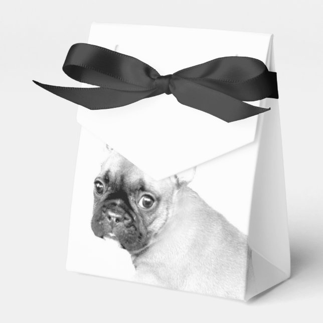 French Bulldog Favor Box (Front Side)