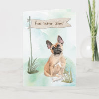 French Bulldog Feel Better After Surgery to Dog