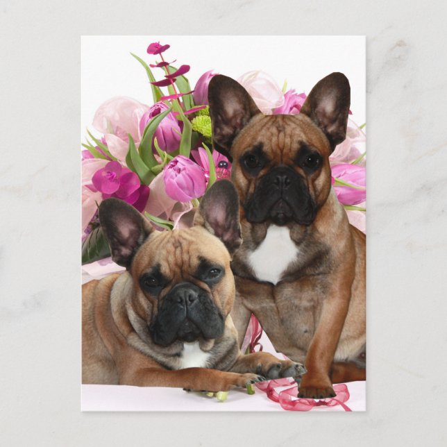 French Bulldog Flowers French Bulldog Celebration Postcard (Front)
