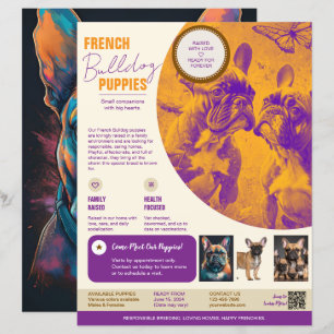 French Bulldog Flyer Purple