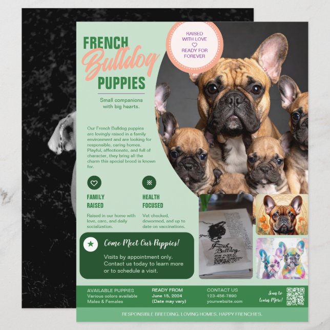 French Bulldog Flyer Purple  (Front/Back)
