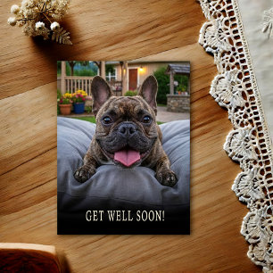 French Bulldog Get Well Postcard 