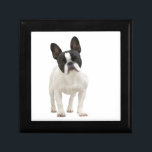 French Bulldog gift box jewellery box trinket box<br><div class="desc">Photo portrait of a beautiful french bulldog dog trinket box,   gift box,  jewellery box.  great gift idea for dog lovers</div>