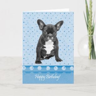 French Bulldog Happy Birthday Card Blue dots