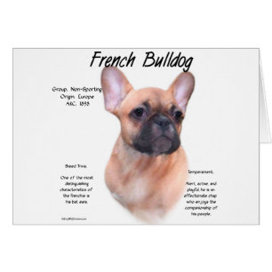French Bulldog History Design