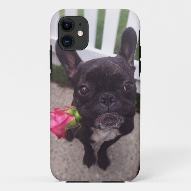French Bulldog i-Phone 5/5S case (Back)