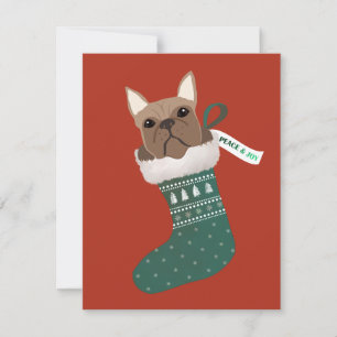 French Bulldog in a Christmas Stocking Holiday Card