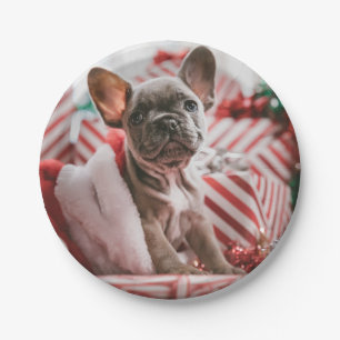 French Bulldog in Christmas Hat Paper Plate