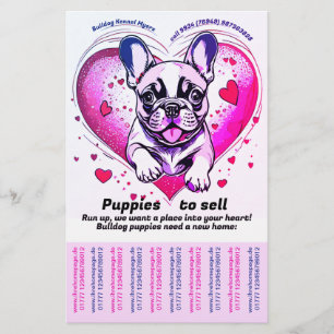 French Bulldog into your home Flyer