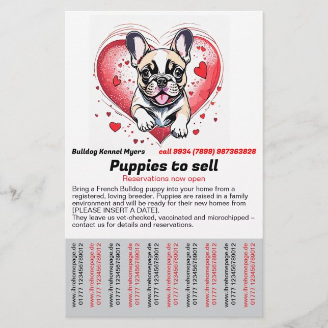 French Bulldog into your home Flyer (Front)