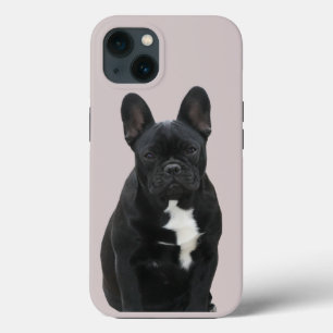 French Bulldog iPhone 13 Pro Case Mate