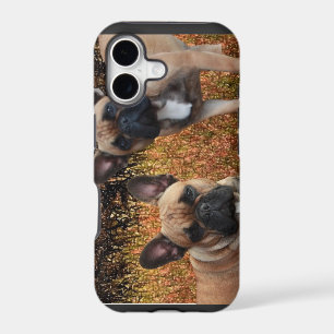 French Bulldog IPhone 5 Case Made