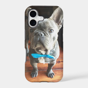 french bulldog iPhone 7 plus case