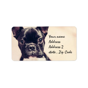 French Bulldog Label