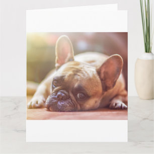 french bulldog laying card