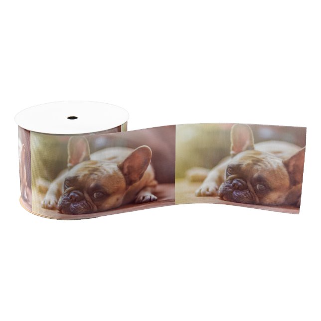 french bulldog laying grosgrain ribbon (Spool)