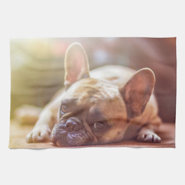 french bulldog laying kitchen towel (Horizontal)