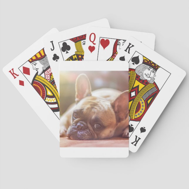 french bulldog laying playing cards (Back)