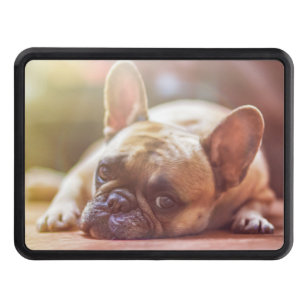 french bulldog laying trailer hitch cover