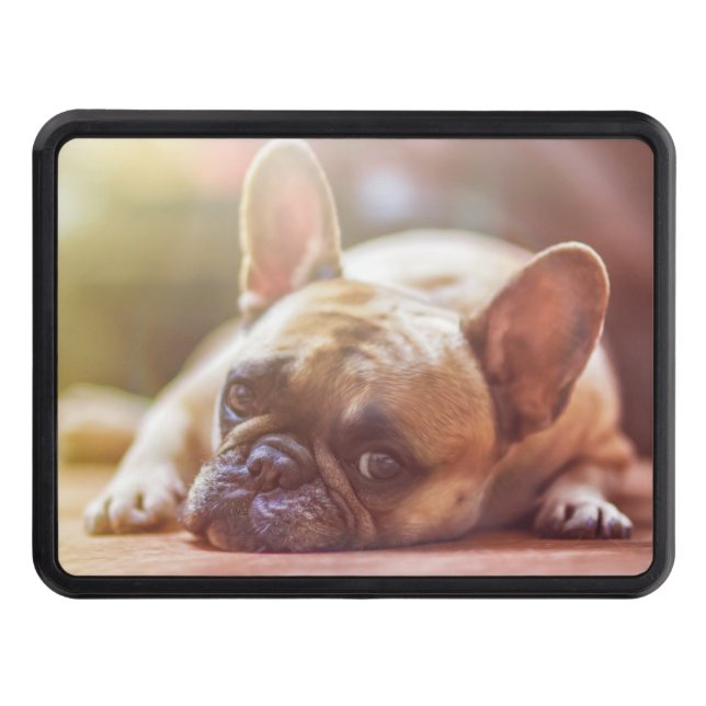 french bulldog laying trailer hitch cover (Front)