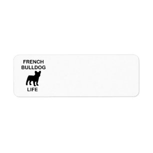 french bulldog life
