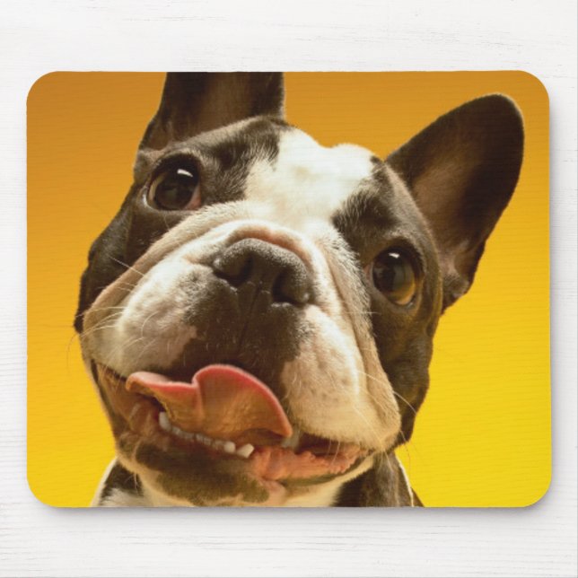 French Bulldog Looking Up Mouse Pad (Front)