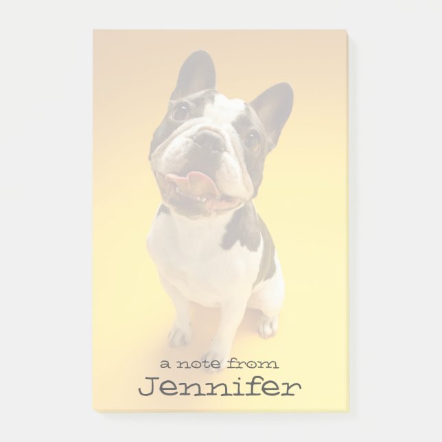 French Bulldog Looking Up Post-it Notes (Front)
