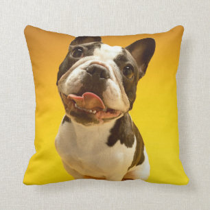 French Bulldog Looking Up Throw Pillow