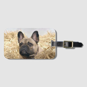 French Bulldog Luggage Tag