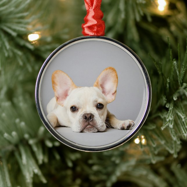 French Bulldog Lying Down Metal Ornament (Tree)
