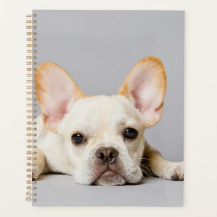 French Bulldog Lying Down Planner