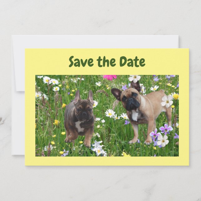 French Bulldog Meadow French Bulldog Invitation (Front)