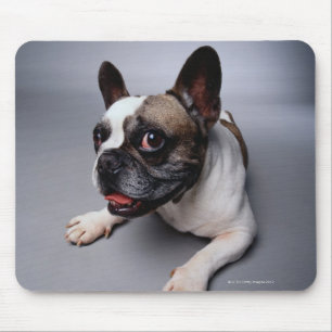 French Bulldog Mouse Pad
