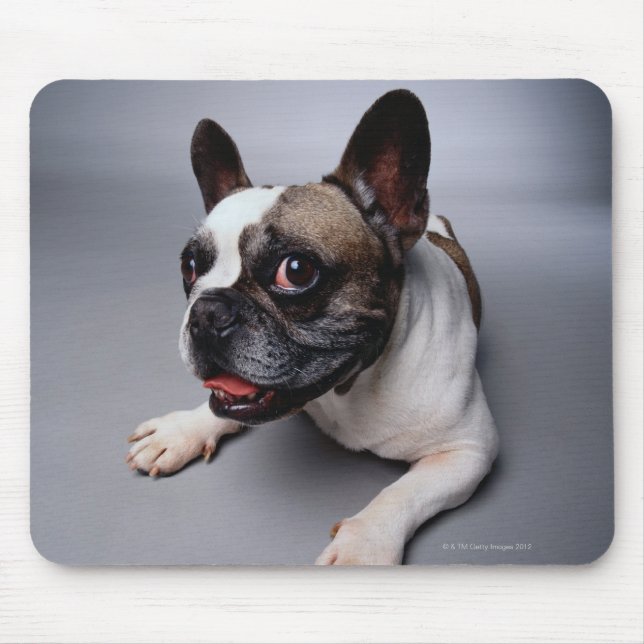 French Bulldog Mouse Pad (Front)